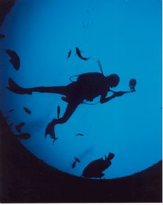 Port hole view of a Diver. Nikonos V + 15mm. by Eric Leong 